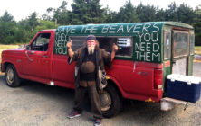 beaverman1