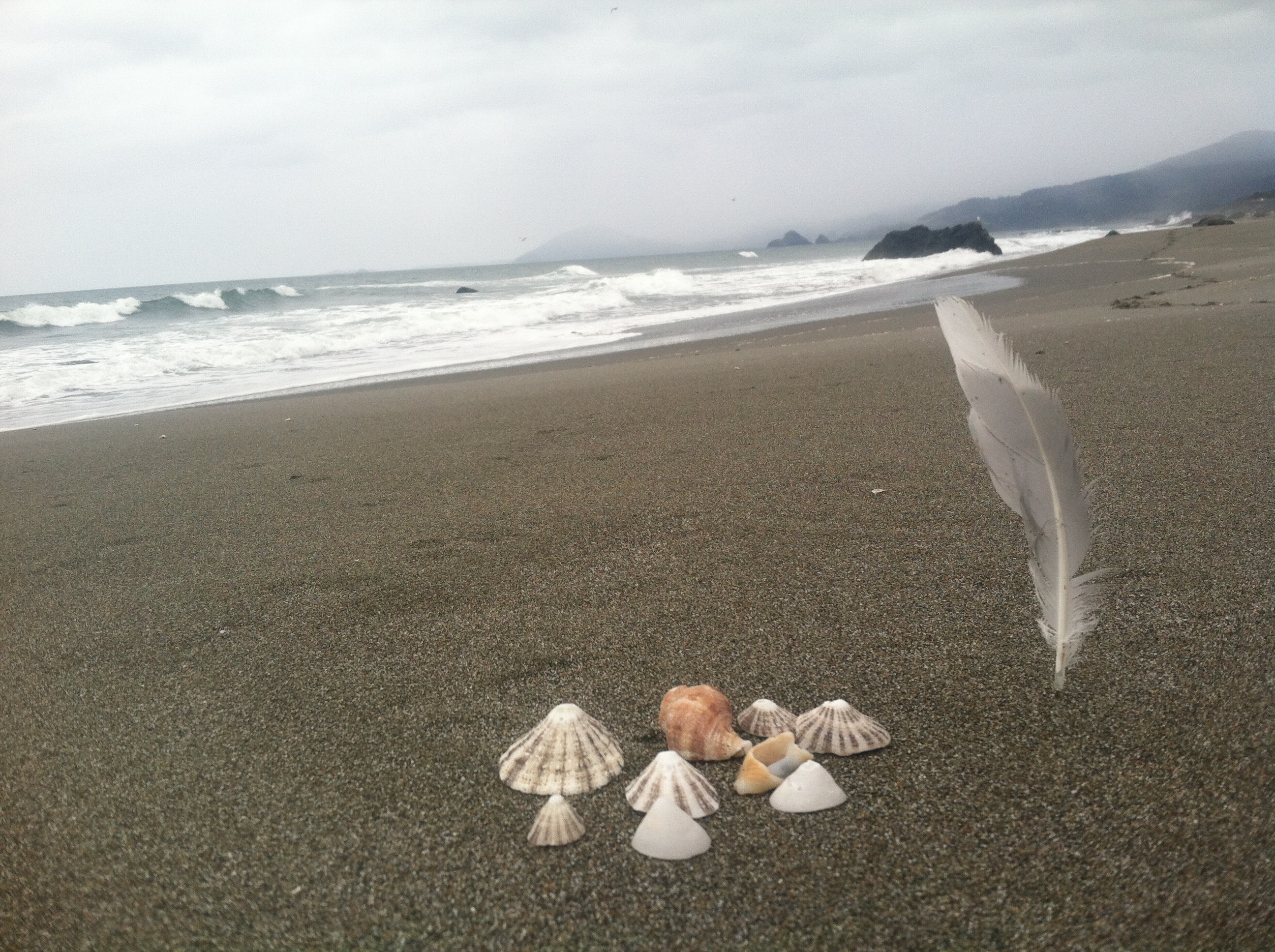 nesika_7339 nesika_7339