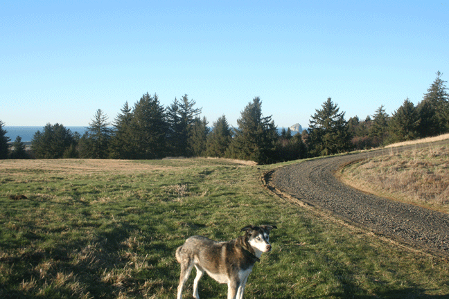 sonnyrefugefinal sonnyrefugefinal