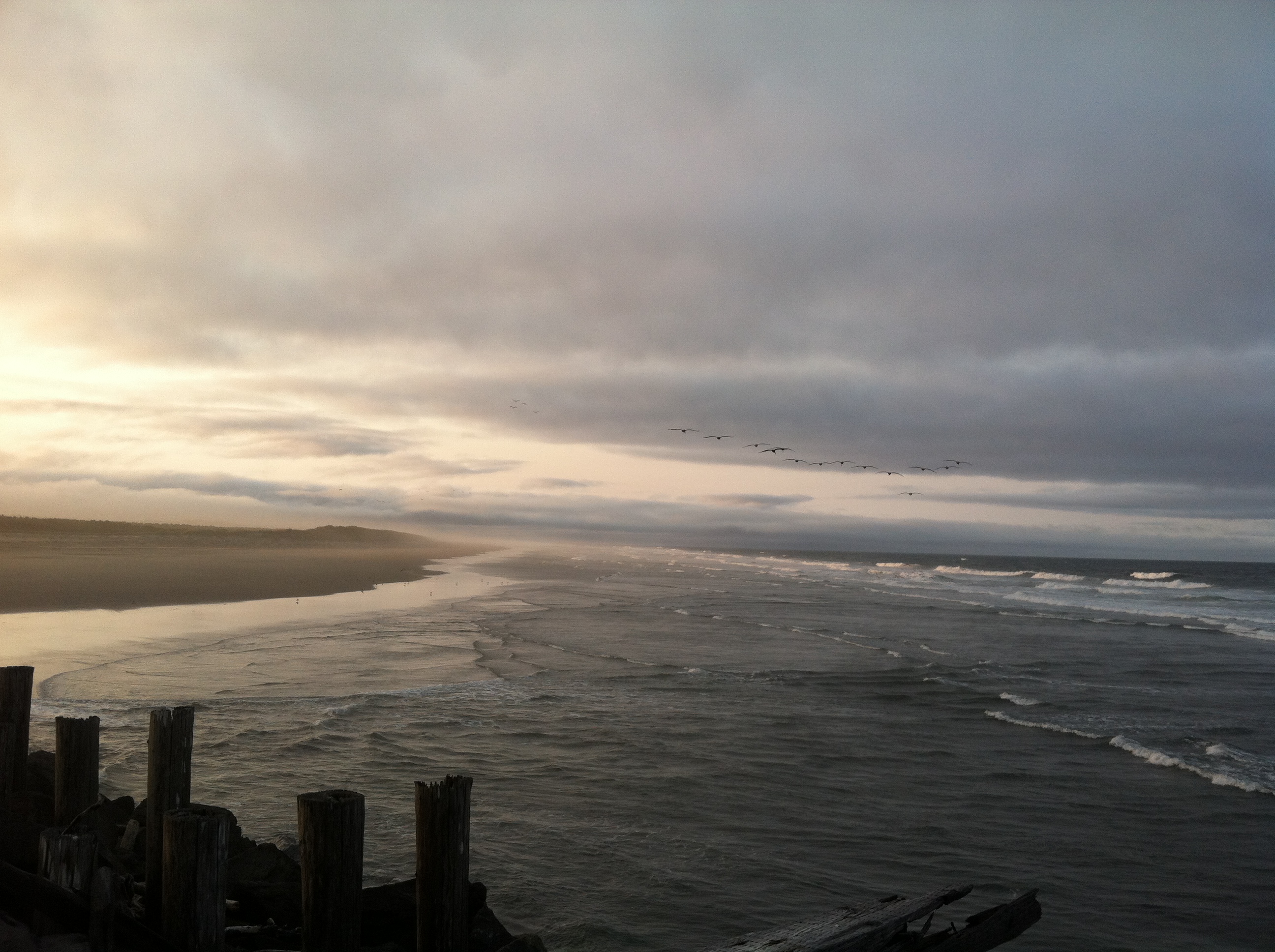 sonnyjettysept2014 008 sonnyjettysept2014 008