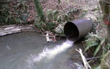 Culvert