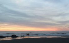 IMG_8370