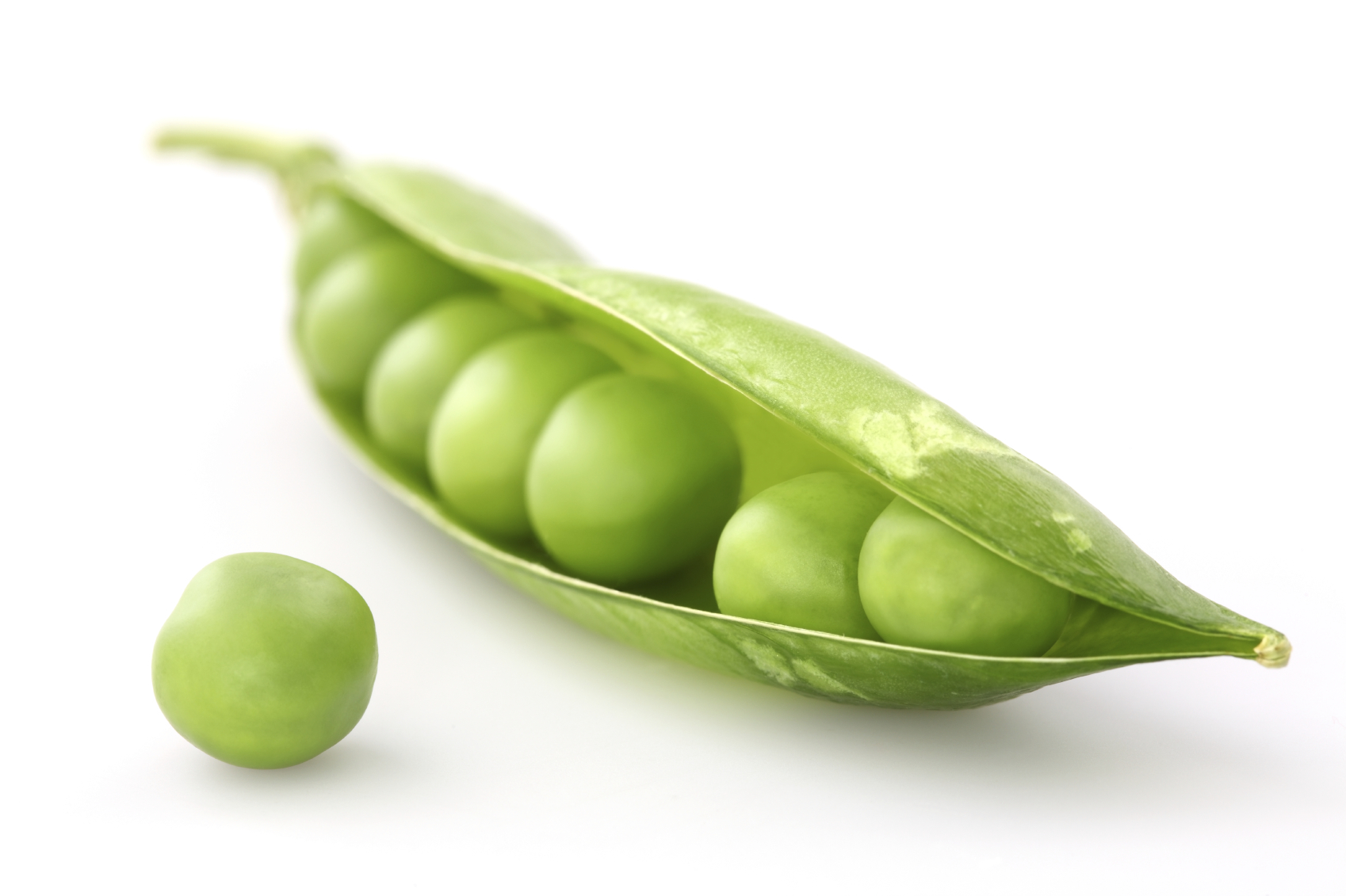 vegetable-clipart-pea-plant-10