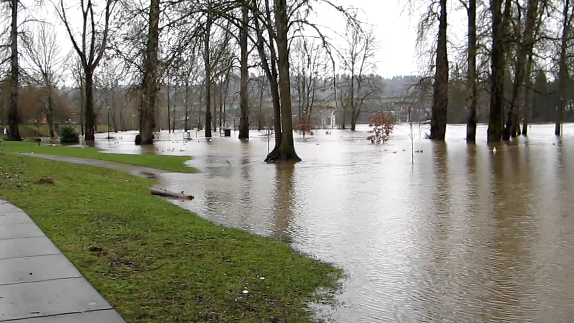 floodedpark floodedpark