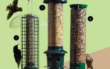 best-bird-feeders