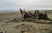 morecalistadunes 019