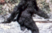 bigfoot