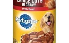 dogfood