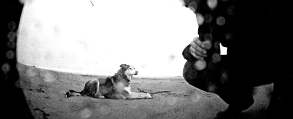 sonneyrainfisheyebw1 sonneyrainfisheyebw1