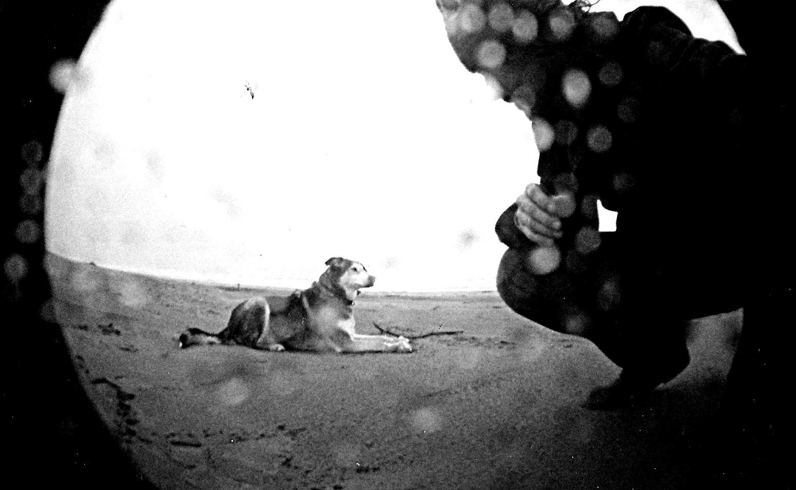 sonneyrainfisheyebw1 sonneyrainfisheyebw1