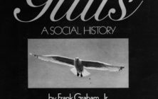 gullsbook