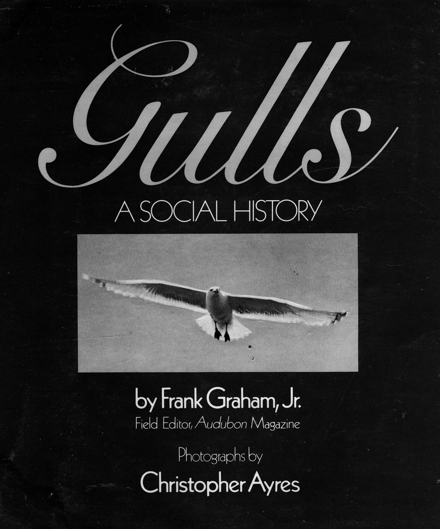 gullsbook gullsbook