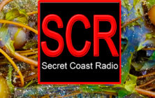 scr logos