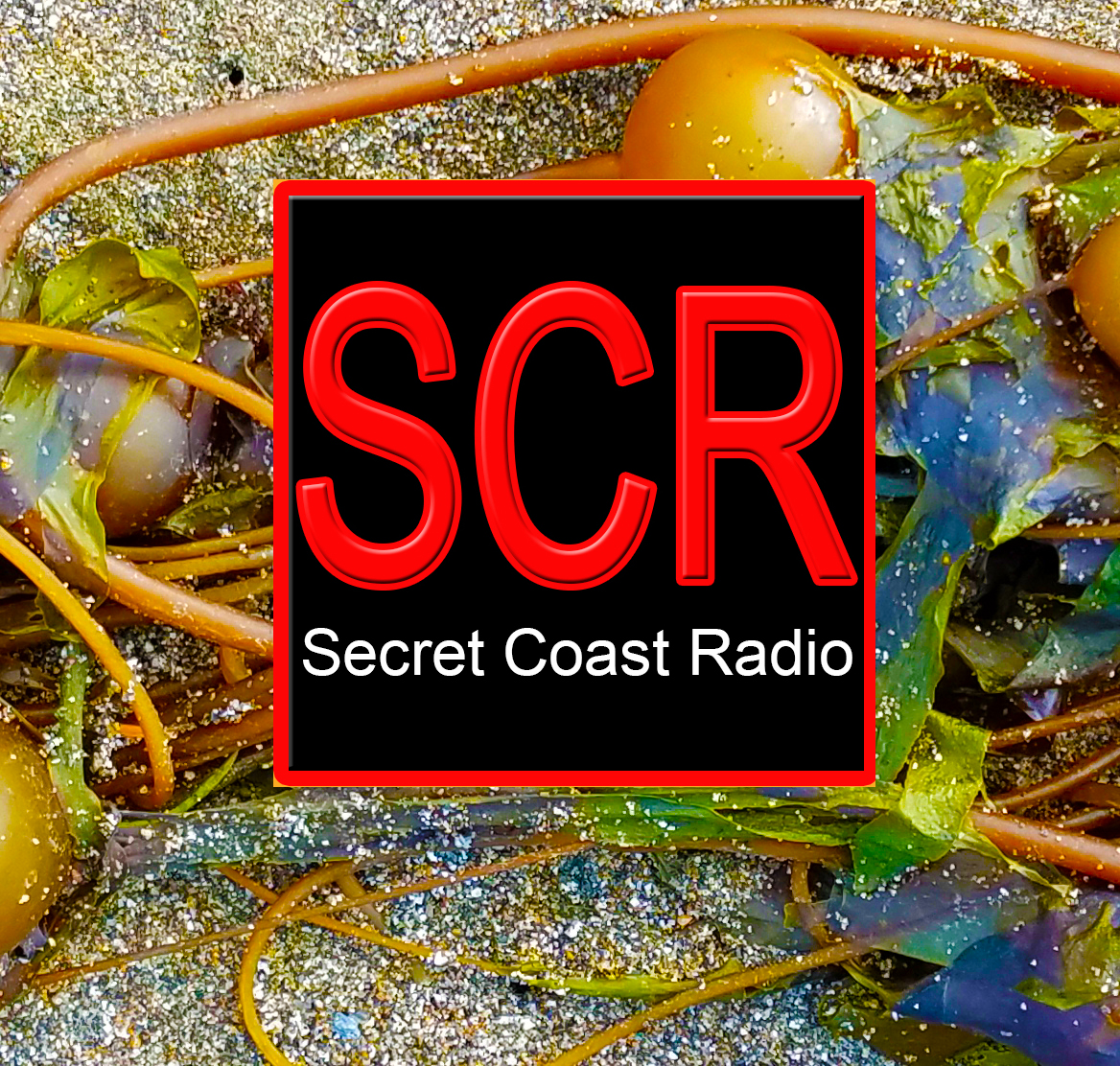 scr logos