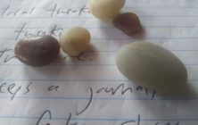 IMG_20191209_122748305