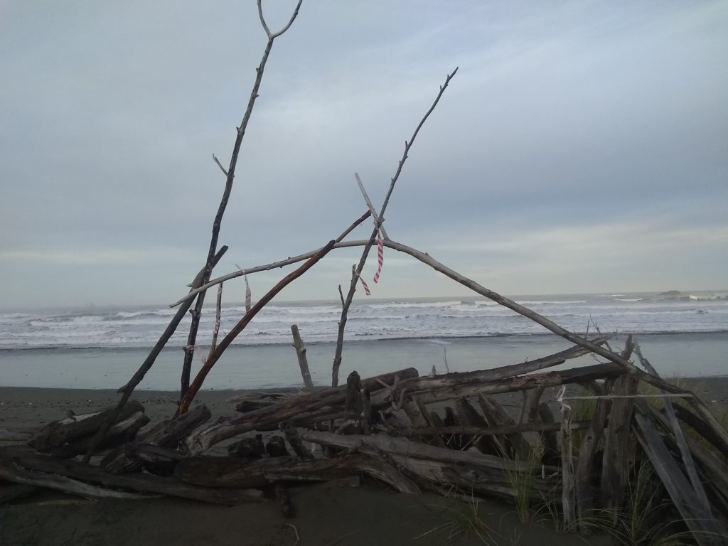 Fort Questions Nestucca Spit Press Meditations