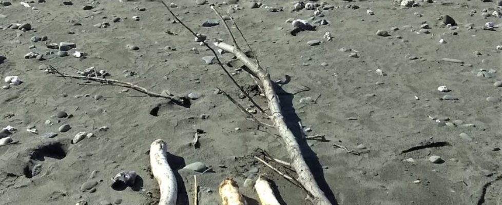 IMG_20200222_122605584 (2) IMG_20200222_122605584 (2)