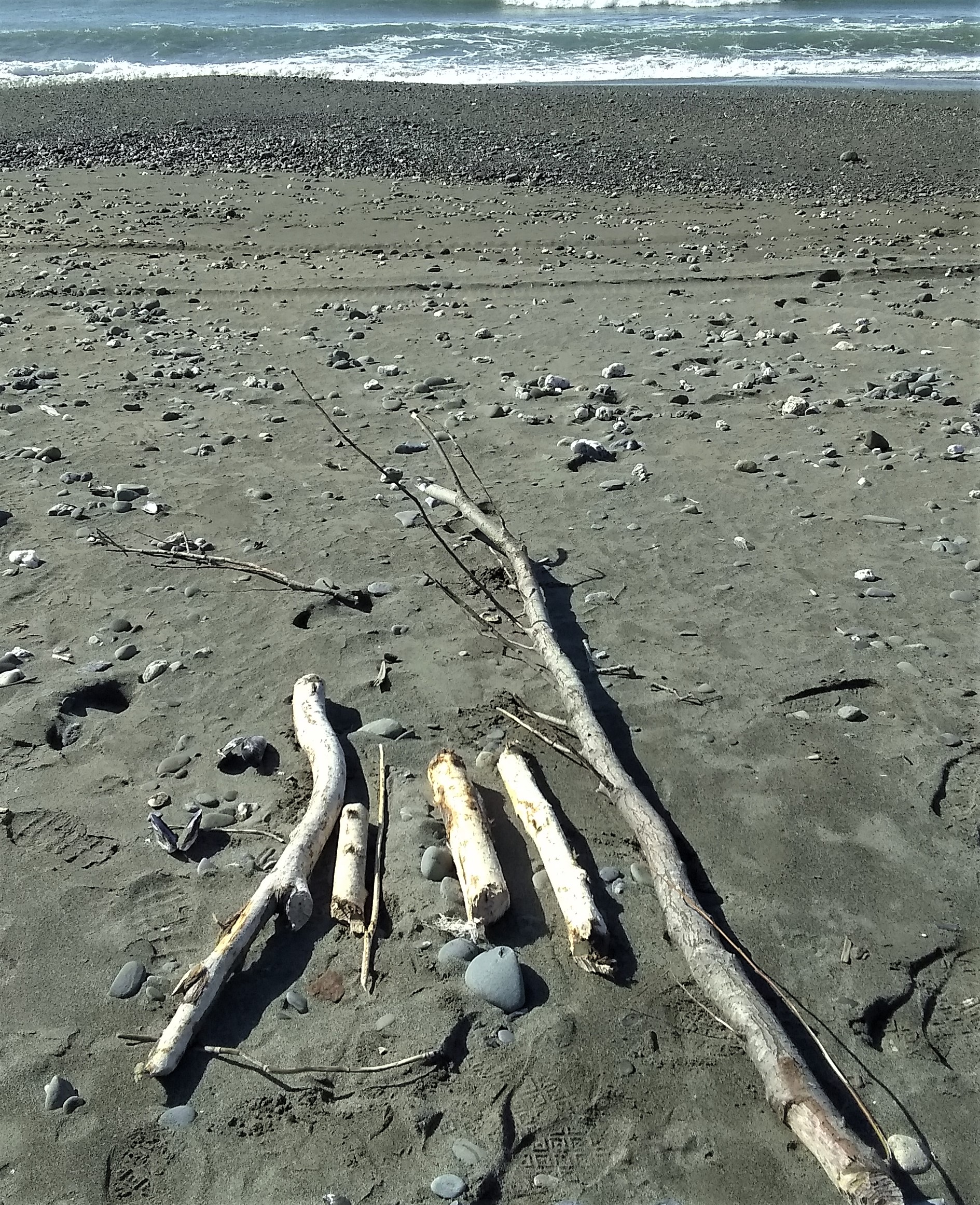 IMG_20200222_122605584 (2)