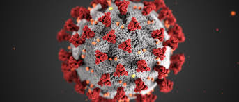 virus