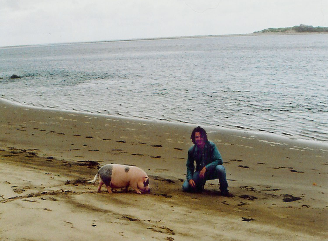 mattpigbeach