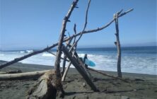 IMG_20200731_111321648 (2)