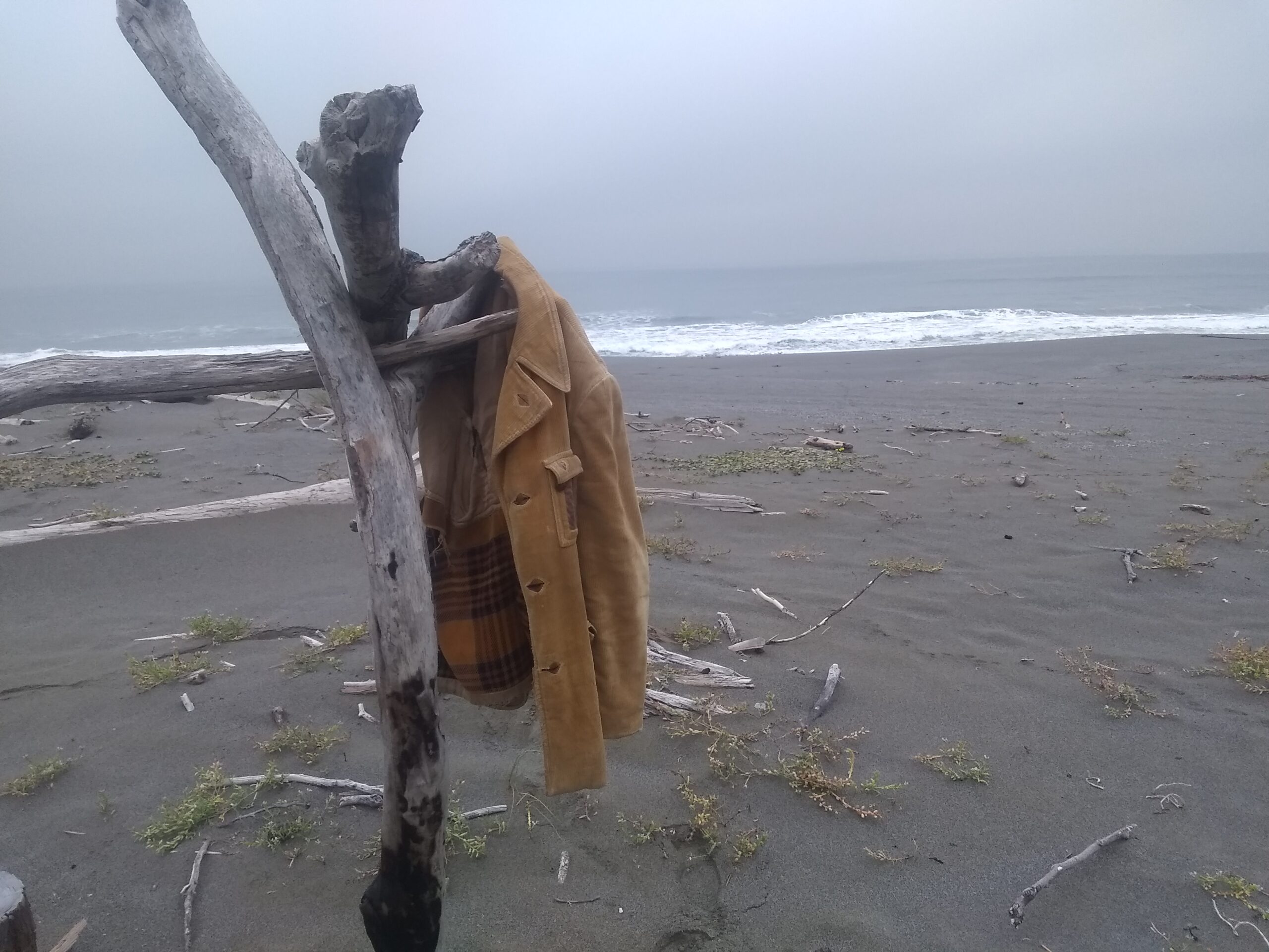 IMG_20200910_083713260 IMG_20200910_083713260