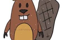 beaver4