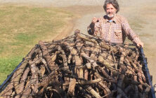 Mattbeavercollection