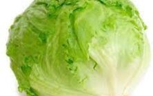 lettuce