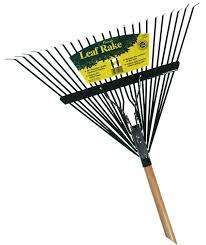 rake rake