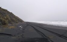 IMG_20220119_105714150