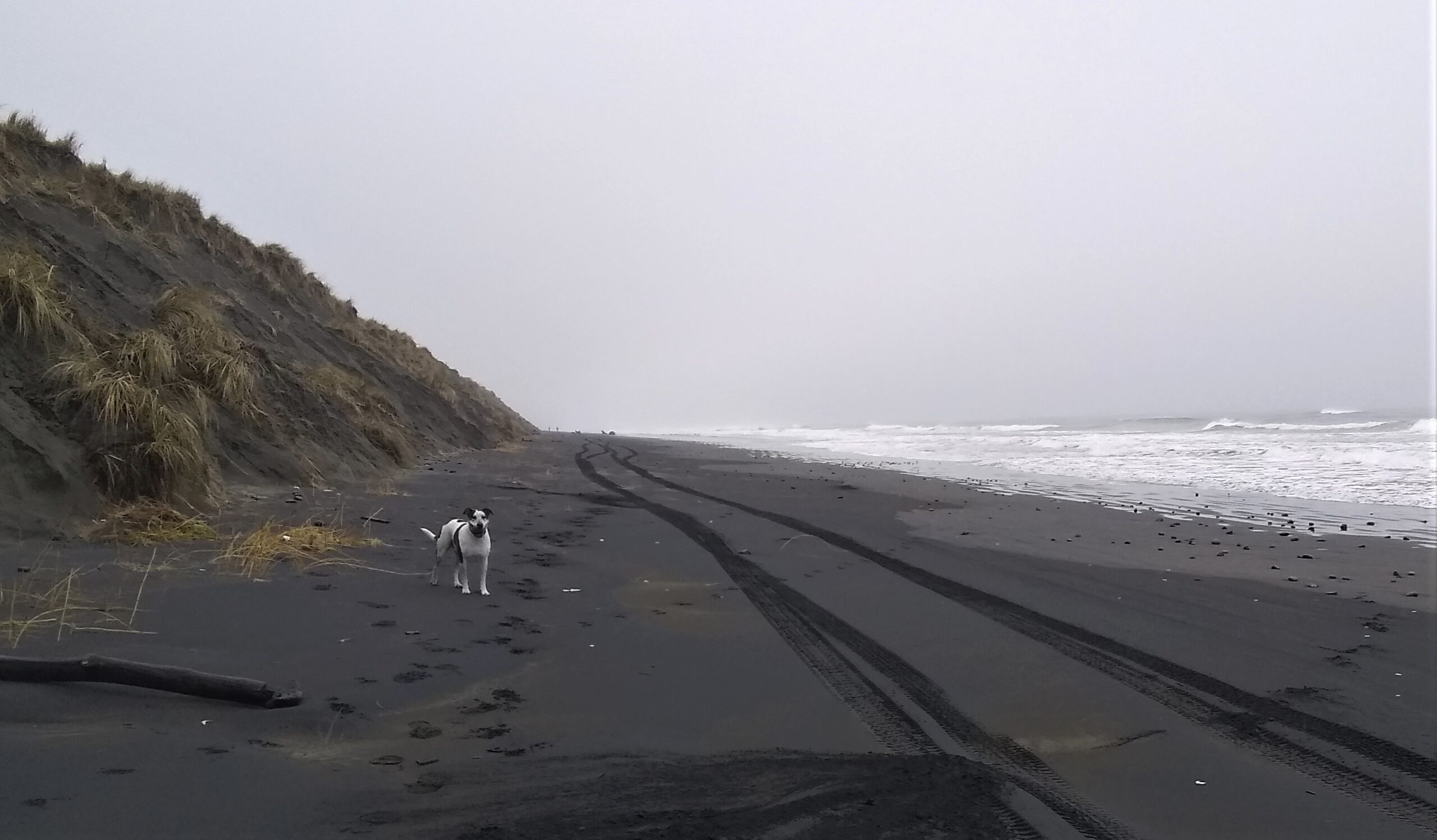 IMG_20220119_105714150 IMG_20220119_105714150