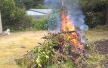 burnpile
