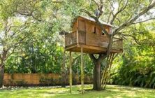 treehouse