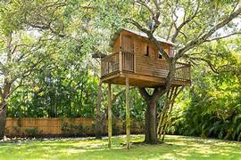 treehouse