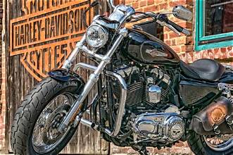 harley