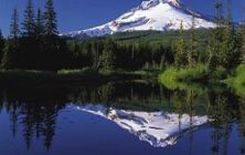 mthood