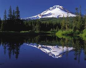 mthood